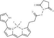 Py-BODIPY-NHS ester