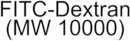 FITC-Dextran (MW 10000)