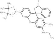 NucPE1