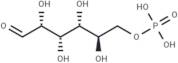 D-Glucose 6-phosphate