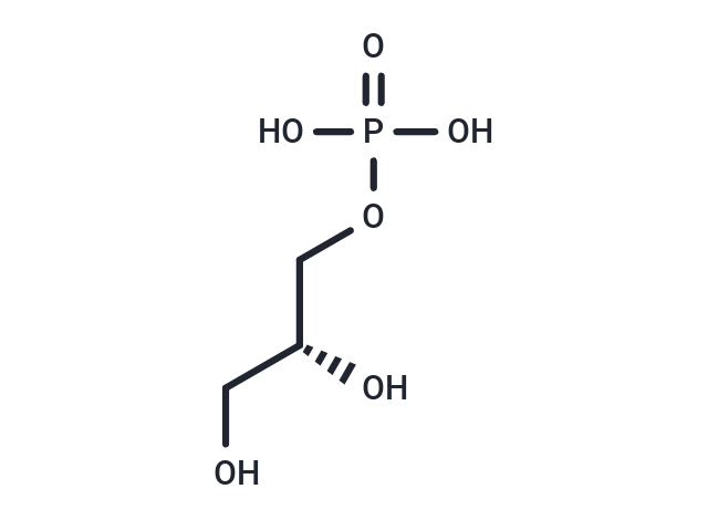 sn-Glycerol 3-phosphate