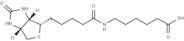 N-Biotinyl-6-aminohexanoic acid