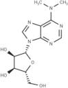 N6,N6-Dimethyladenosine