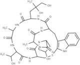 Phalloidin