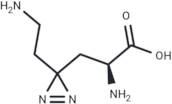 Photo-lysine