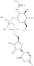 UDP-GlcNAc Disodium Salt