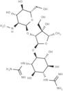 Dihydrostreptomycin