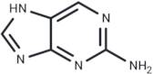 2-Aminopurine