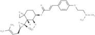 Beloranib