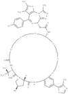 PROTAC SMARCA2/4-degrader-28