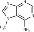 7-Methyladenine