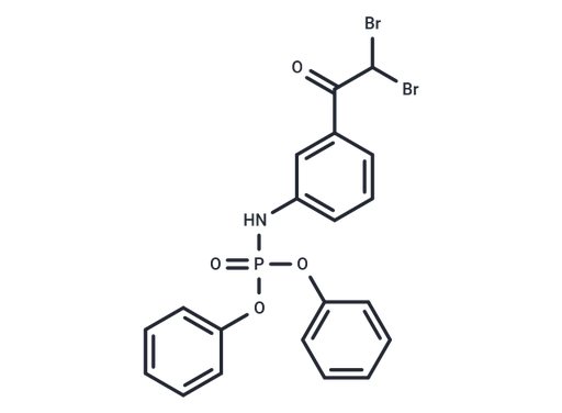 SARS-CoV-2-IN-99