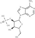 Adenosine-2'-monophosphate