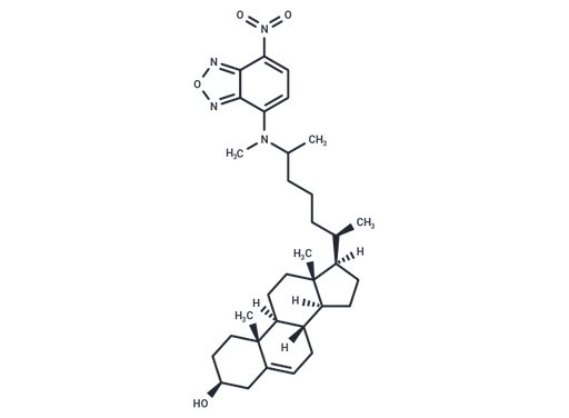 25-NBD Cholesterol