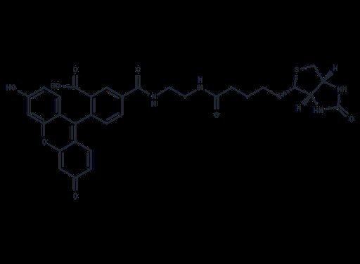 Biotin (5-fluorescein) conjugate