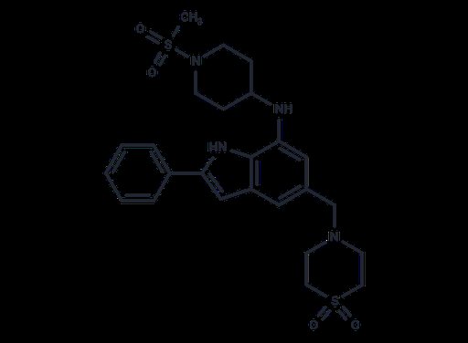 NecroX-2