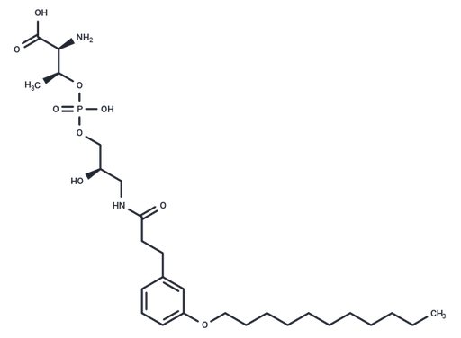 LysoPalloT-NH-amide-C3-ph-m-O-C11