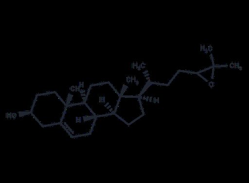 24,25-Epoxycholesterol