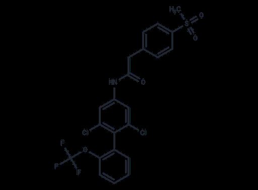 RORγt inhibitor 4