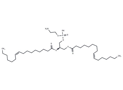 1,2-Dipalmitoleoyl-sn-glycero-3-phosphoethanolamine