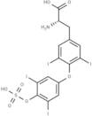 Thyroxine sulfate