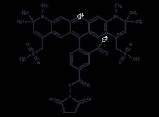 BP Fluor 594 NHS ester