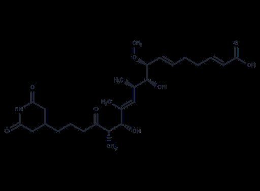 Dorrigocin A