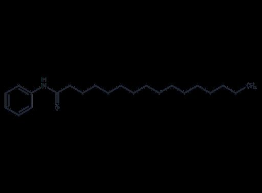 Palmitanilide