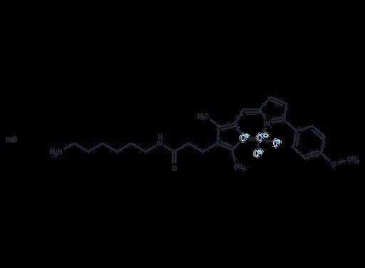 BDP TMR amine hydrochloride
