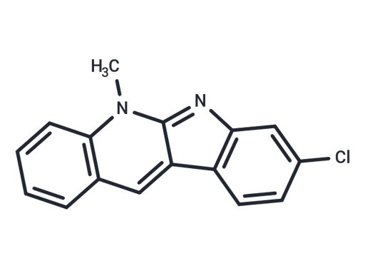 Neocryptolepine-Cl