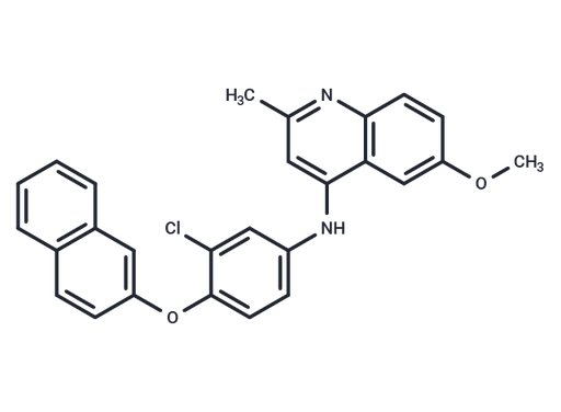 MBA-m1