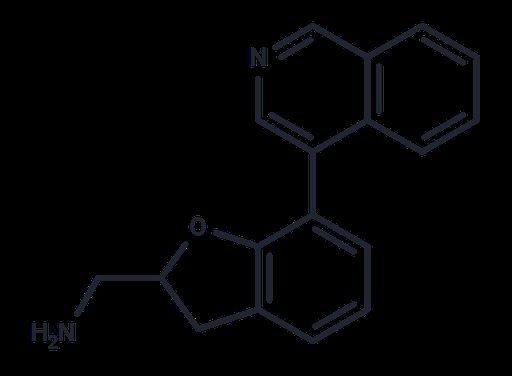 Rho GTPase inhibitor 1