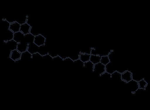 PROTAC PI3K/110β degrader-1