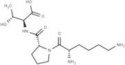 Interleukin 1β