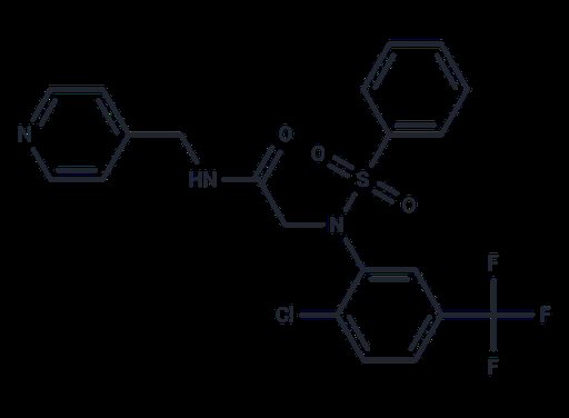 CCC-0975
