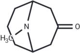 Pseudopelletierine free base