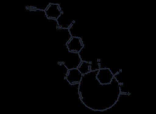 CFON-026