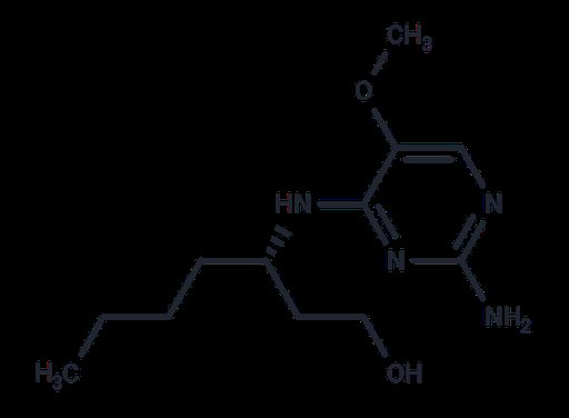 TLR7/8 agonist 13