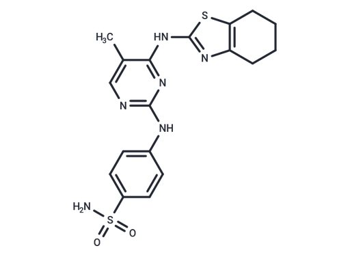 CDK2-IN-55