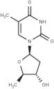 5-deoxy Thymidine