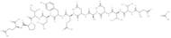 EGF Receptor Peptide Acetate