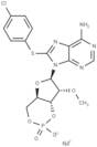 8-CPT-2Me-cAMP, sodium salt