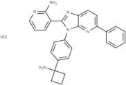 Miransertib (ARQ 092) HCl