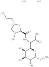 Clindamycin hydrochloride monohydrate