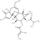 12-O-Tiglylphorbol-13 -isobutyrate