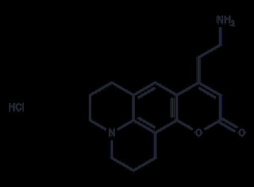 FFN 511 hydrochloride