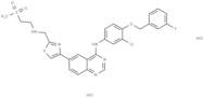 GW 583340 dihydrochloride