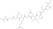 hemagglutinin (332-340) [Influenza A virus]