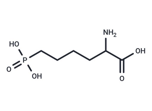 L-AP6