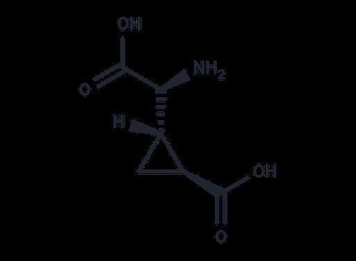 L-CCG-l